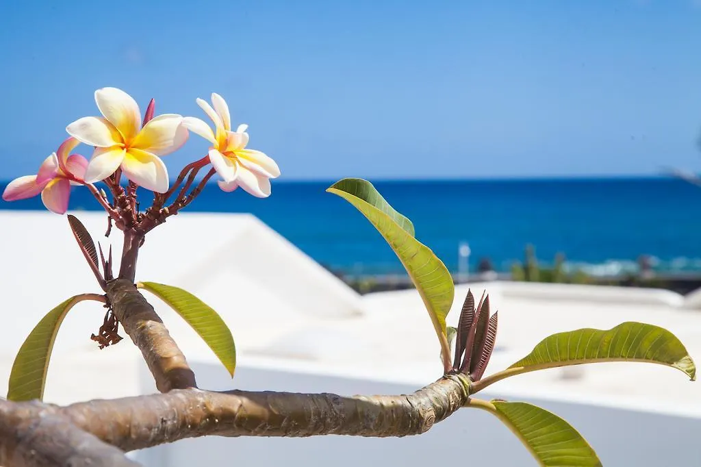 Villa Lagomar Private Pool And Sea Views Arrieta  0*, Arrieta (Lanzarote) Spain